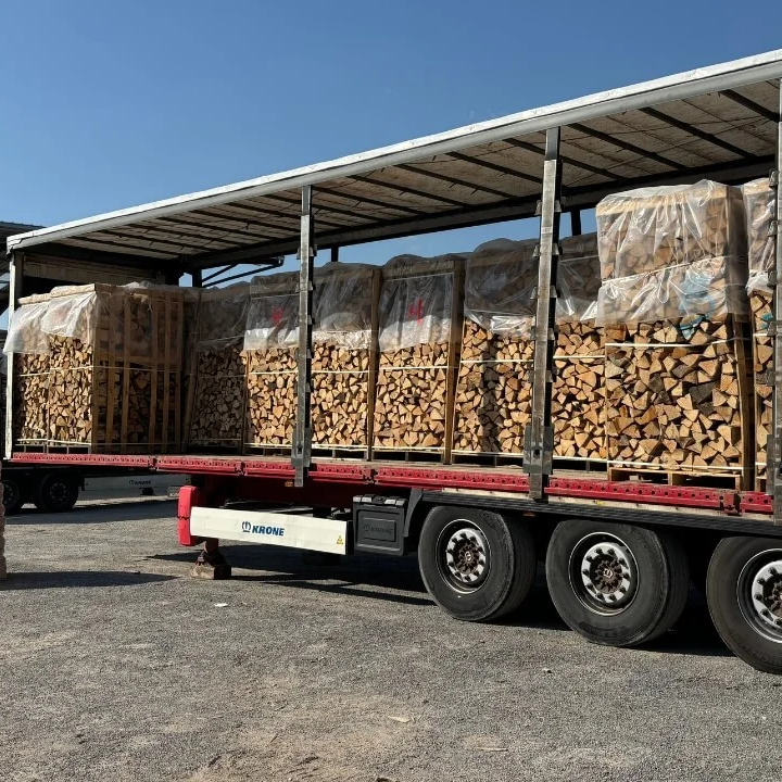 Birkenholz – LKW-Ladung (48 RM) – 50 cm Stämme – Professionelle Verpackung